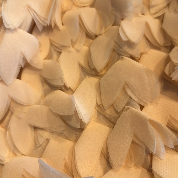 Champagne & Strawberry Sleeveless V Neck 3D Blush and Lace Statement Dress S/8P - Picture 14 of 14